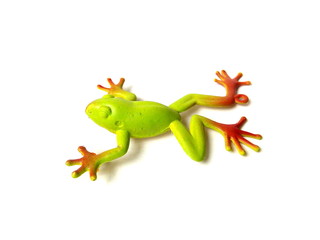 Close up of green frog toy isolated on white background. Artificial frog. Kids toy. Rubber toy.