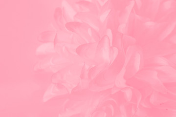 Obraz premium Beautiful abstract color white and pink flowers on white background and white graphic flower frame and pink leaves texture, pink background, colorful graphics banner happy valentine day