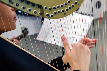 Hands play the harp at a music concert.