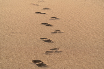 Human footprints on empty beach