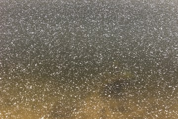 Snowflakes on a new, thin ice lighten by sun and golden leaves trapped below