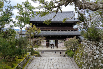 Obraz premium 京都 知恩院の桜と春の景色