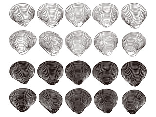 しじみ　蜆　線画