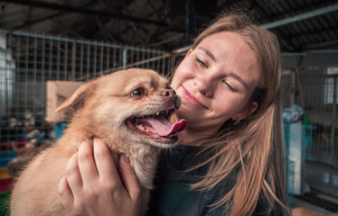 Close-up of female volunteer holds on hands dog in shelter. Shelter for animals concept