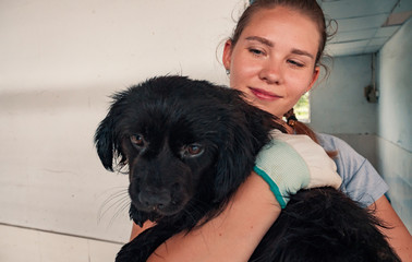 Close-up of female volunteer holds on hands dog in shelter. Shelter for animals concept