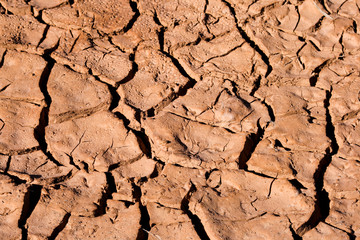 Textura de grietas en el suelo por sequía