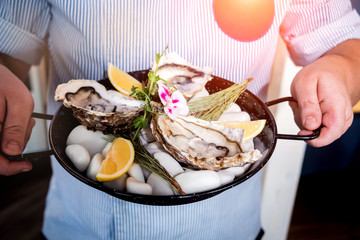 Fresh oysters in chef's hands on a plate with ice and flowers. Restaurant