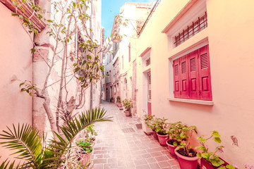 Amazing narrow streets of popular destination on Crete island. Sunny morning in Greece. Traditional architecture and colors of mediterranean city. Place for romantic vacation and summer travel - obrazy, fototapety, plakaty