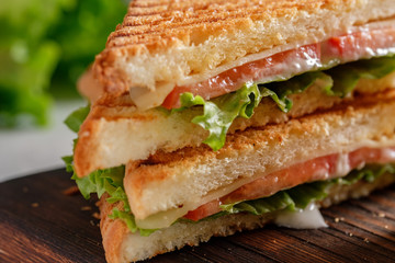 Cheese sandwich of toasted bread with a crispy crust with fresh tomatoes and herbs on a wooden board
