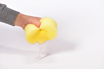 スポンジを手で絞る