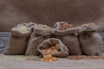 Grains of peas, rice, wheat, oats, buckwheat in bags.