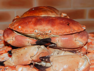 crabs
