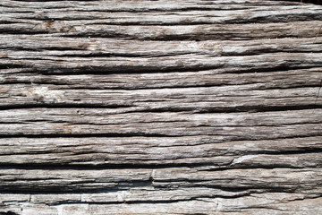 Vintage old wooden texture nature background