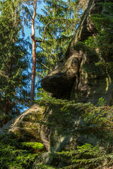 Adrspach Teplice rocks, the sandstone landscape in Bohemia, Czech Republic. Cliffs and mountains in Adršpach-Teplice Rocks. Adersbach-Weckelsdorfer Felsenstadt, Europe hills.