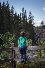 Fototapeta na wymiar The little boy looks at the rocks and trees