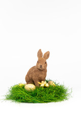 Easter bunny with eggs in nest isolated on white background