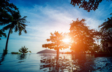 Swimming pool at exotic tropical resort. Exotic garden.