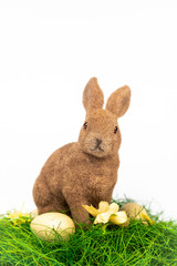Easter bunny with eggs isolated on white background
