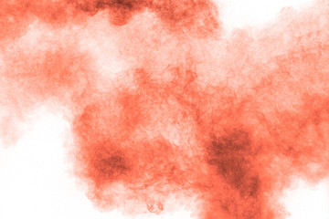 Abstract explosion of orange dust on white background.Freeze motion of orange powder splashing.