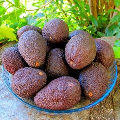 Beautiful avocados on the plate.