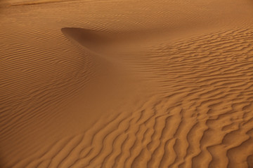 Waves of Sand Texture, Dunes of the Desert.