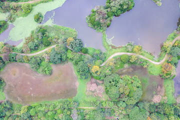 aerial view with trees near the lake in new taipei city, Taiwan