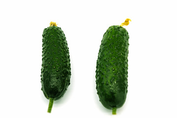 Fresh raw cucumbers lie on a white background. Cucumbers two pieces. Cucumbers are small