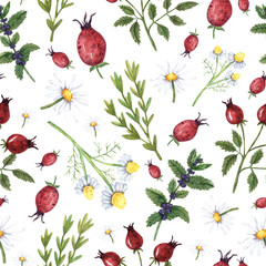 Seamless pattern with watercolor wild herbs, wild rose, chamomile, rosemary and thyme. Great for wallpaper, scrapbook paper, packaging, greeting cards, souvenir products and design.