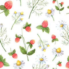Seamless pattern with watercolor wild herbs, strawberries, chamomile inflorescences. Great for wallpaper, scrapbook paper, packaging, postcards, souvenir products and design.