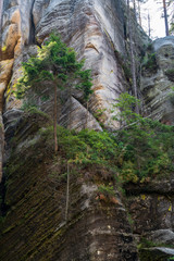 Adrspach Teplice rocks, the sandstone landscape in Bohemia, Czech Republic. Cliffs and mountains in Adršpach-Teplice Rocks. Adersbach-Weckelsdorfer Felsenstadt, Europe hills.
