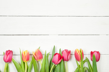 yellow and red tulips in the lower part of the image on a white wooden background