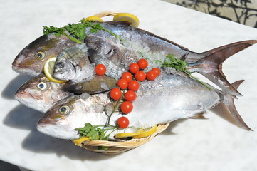 Mediterranean fish in basket