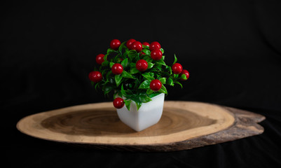 A vibrant artificial cherry tree is kept on a wooden tray in black copy space background. Object photography. 