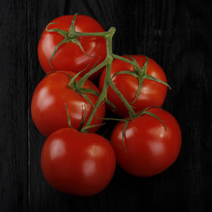 branch of cherry tomatoes on black background