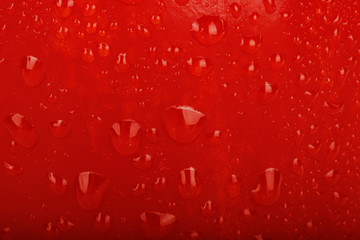 red tomato with water drops background