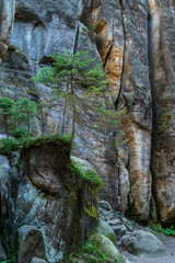 Adrspach Teplice rocks, the sandstone landscape in Bohemia, Czech Republic. Cliffs and mountains in Adršpach-Teplice Rocks. Adersbach-Weckelsdorfer Felsenstadt, Europe hills.