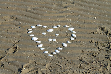 Muschelherz am Strand