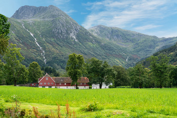 Fototapety na wymiar - Fototapeta24.pl