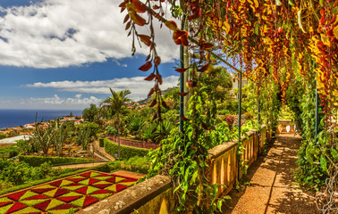 Madeira island, botanical garden Monte, Funchal, Balcony with plants landscape view, Portugal