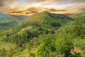 Fototapety na wymiar - Fototapeta24.pl