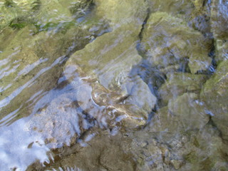 Rocks in clear waters