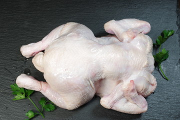  raw chicken with parsley © Witold Krasowski