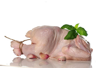  raw chicken with parsley © Witold Krasowski