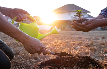 Two young men planting tree to protect the environment