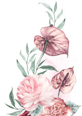 Floral background Anthurium, eucalyptus, Benjamin roses. Wedding invitation. Watercolor illustrathion