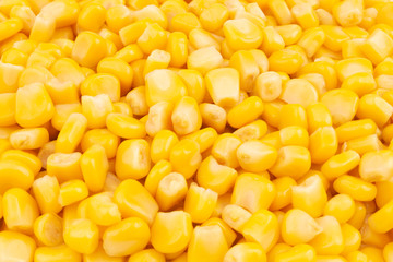 Canned corn background
