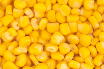 Canned corn in juice close up