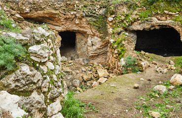 Caves in stone covered with moss and grass, in the south of Israel in the spring