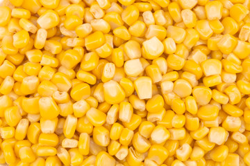 Preserved seeds of sweetcorn close up