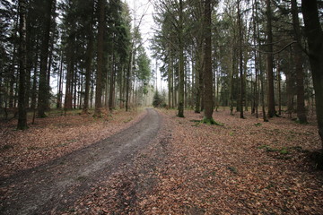 Oberfranken in der Nähe von Obertrubach